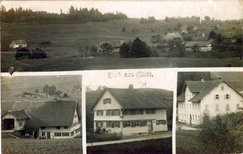 albris_argenbuehl.jpg wird geladen