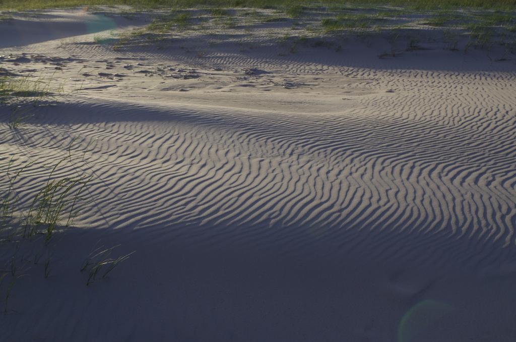 amrum_004.jpg wird geladen