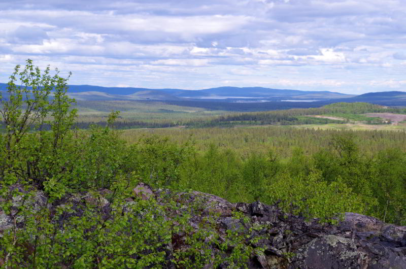 nordschweden_28.jpg wird geladen