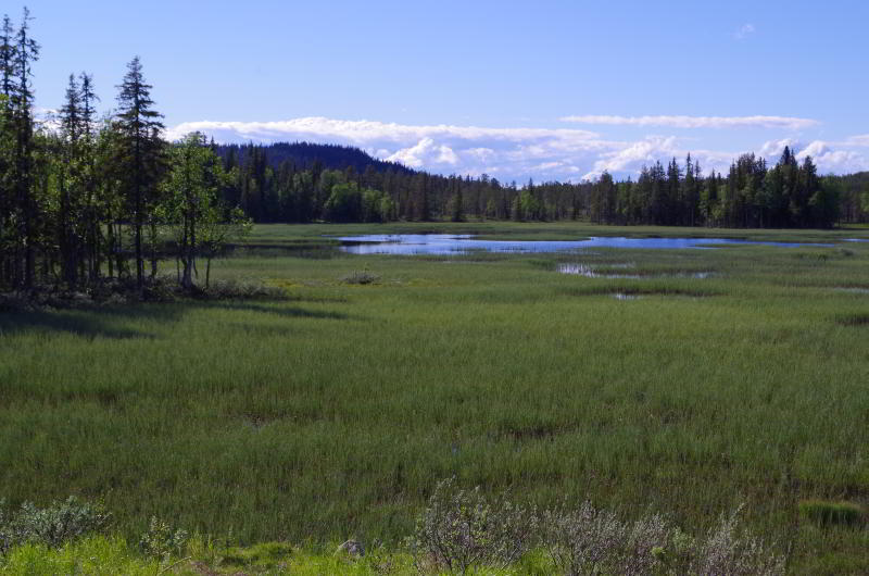 nordschweden_35.jpg wird geladen