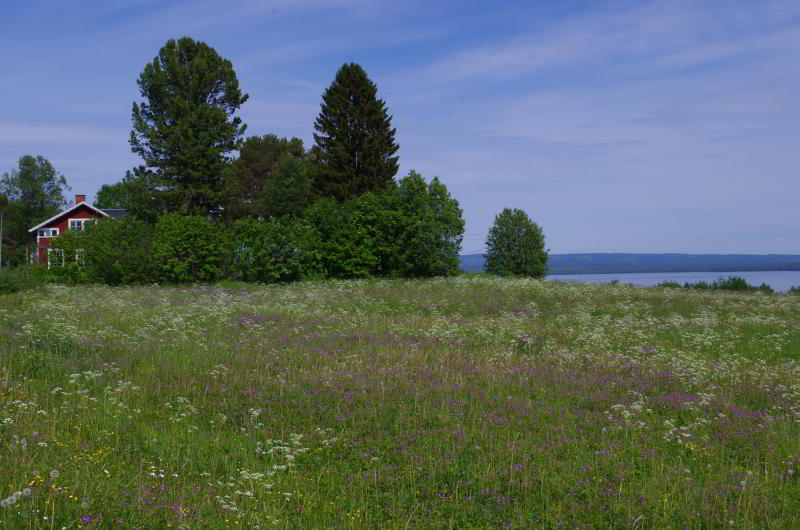 nordschweden_45.jpg wird geladen